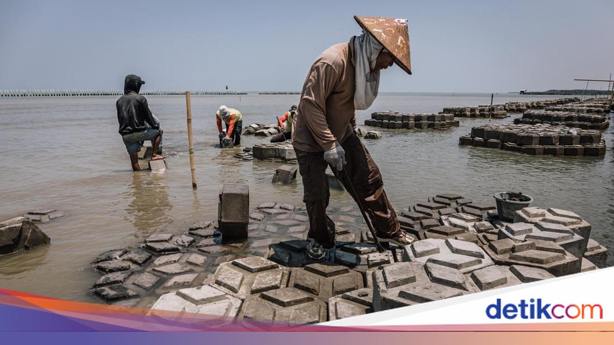 Demak prepares semipermeable wave breakers for coastal protection