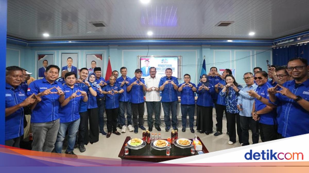 Appi Didukung 24 DPC Maju Musda Demokrat Sulsel, Potensi Aklamasi