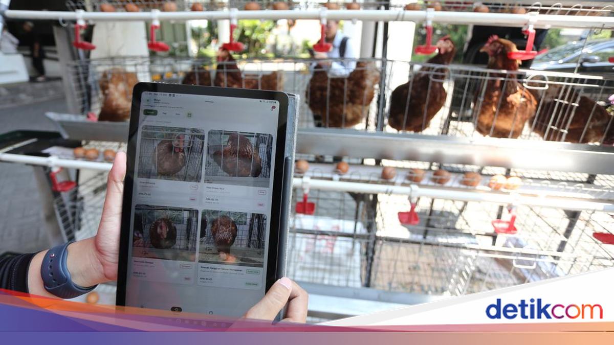 Innovation of the Smart House Use AI for Chicken Health Monitor