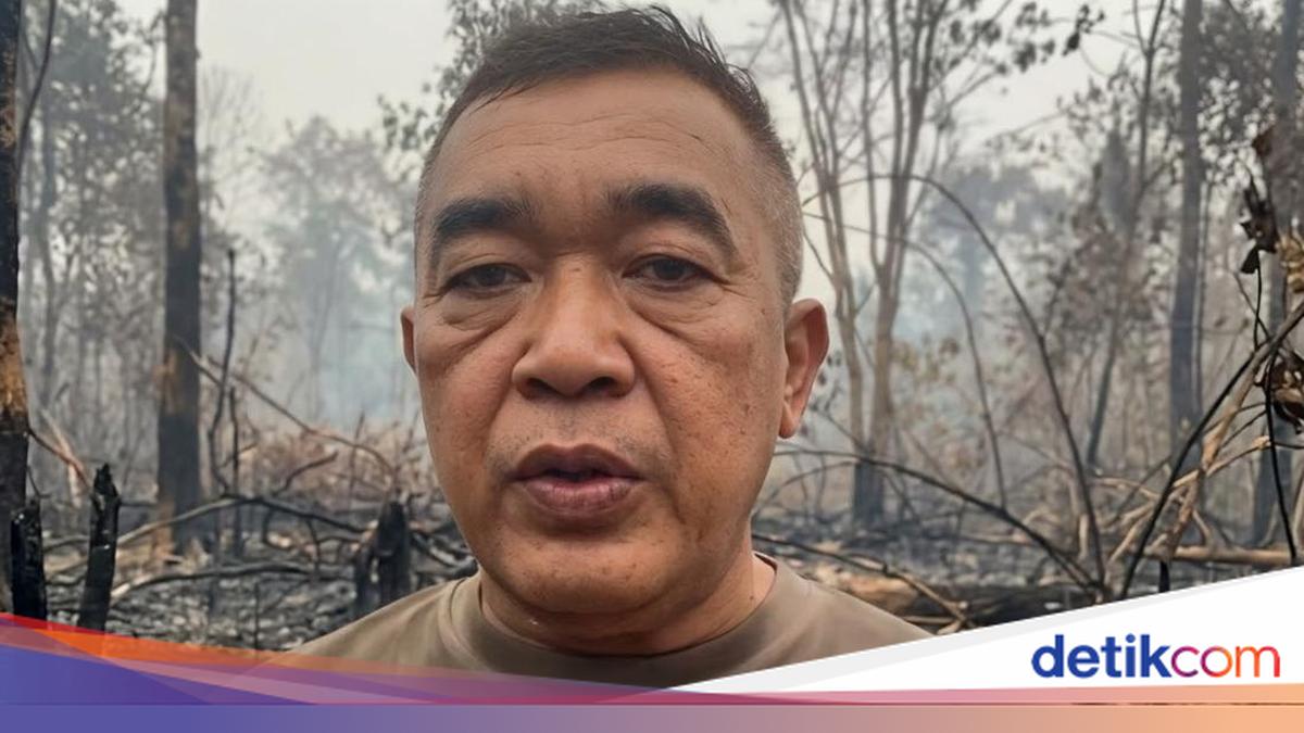 Suara Iptu Agus Hilang saat Padamkan Karhutla, Harap Sembuh Jelang Anak Wisuda