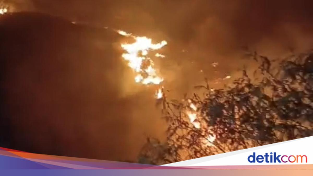 Kawasan Gunung Sumbing Wonosobo Kebakaran, 71 Pendaki Dievakuasi