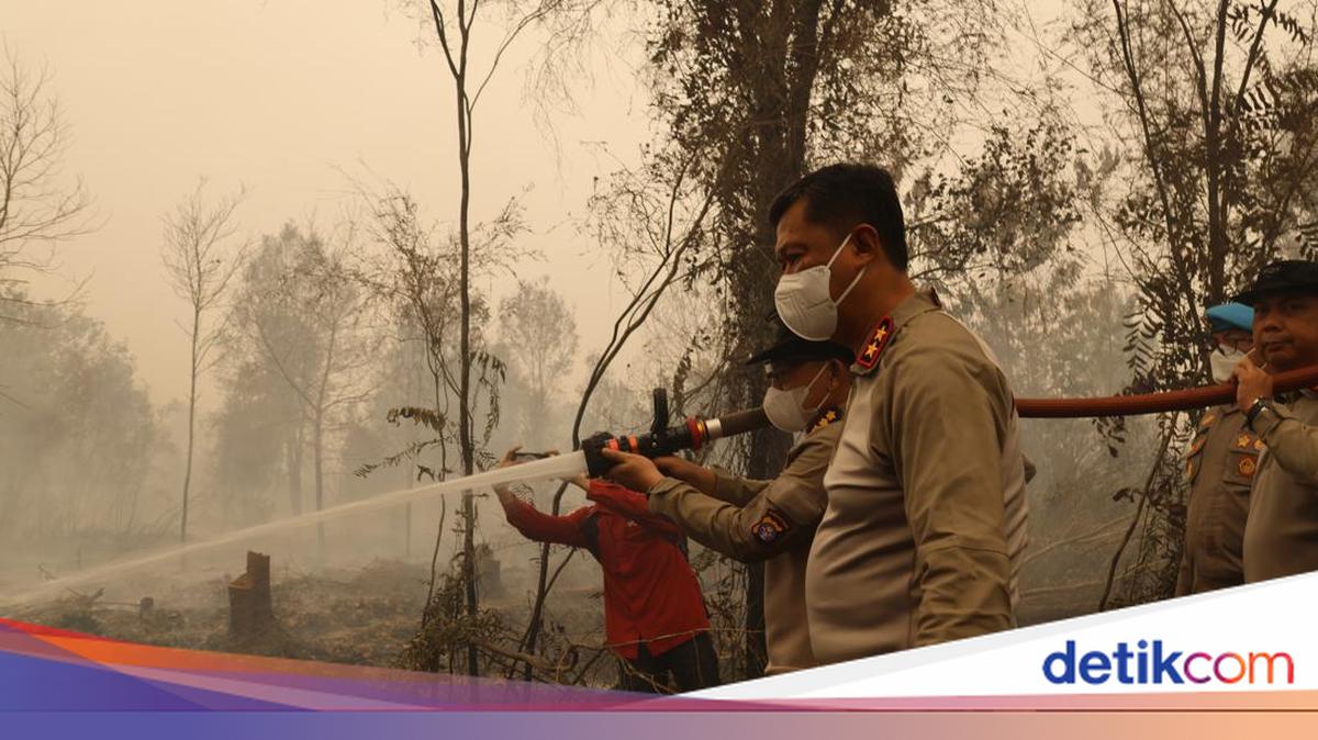 Api Dekati Bandara Tjilik Riwut, Tim Polda Kalteng dan Satgas Karhutla ...