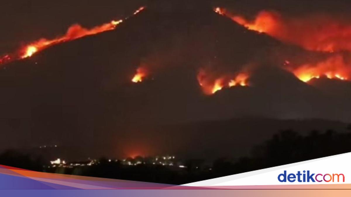 Karhutla in Mount Arjuno-Melas, there are 70 Fire Points