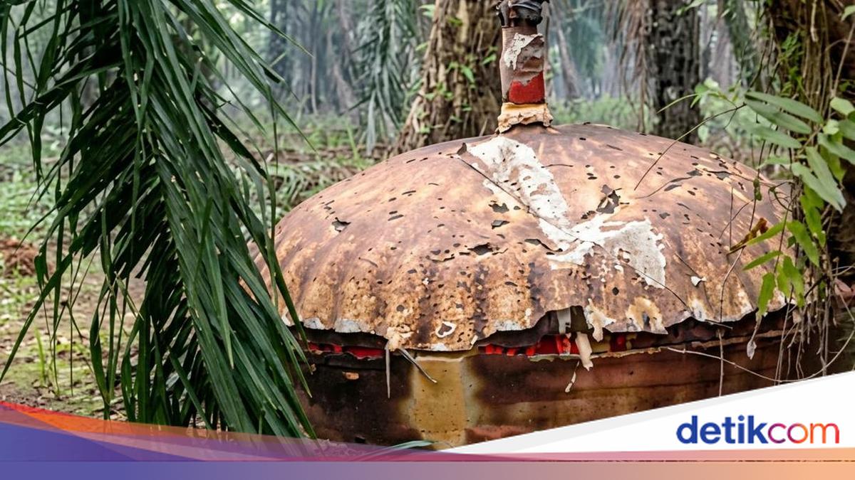 In einer Ölpalmenplantage in Kotim (Zentral-Kalimantan) wurde erneut ein kuppelartiges Metallobjekt gefunden