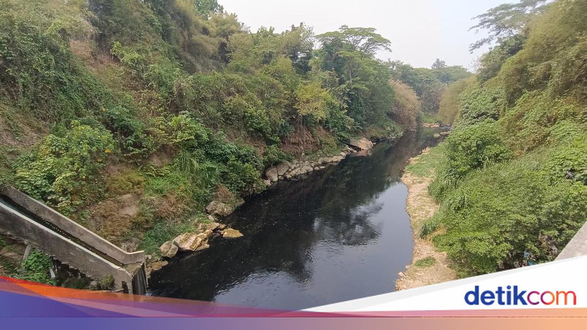 "Duh!" "Der Fluss Cilenemen im schwarzen Bogor von Oli und Stings."