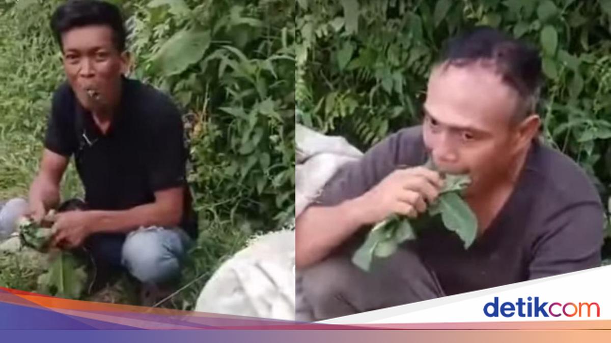 Viral 2 Pencuri di Deli Serdang Dipaksa Warga Makan Daun Pepaya Mentah