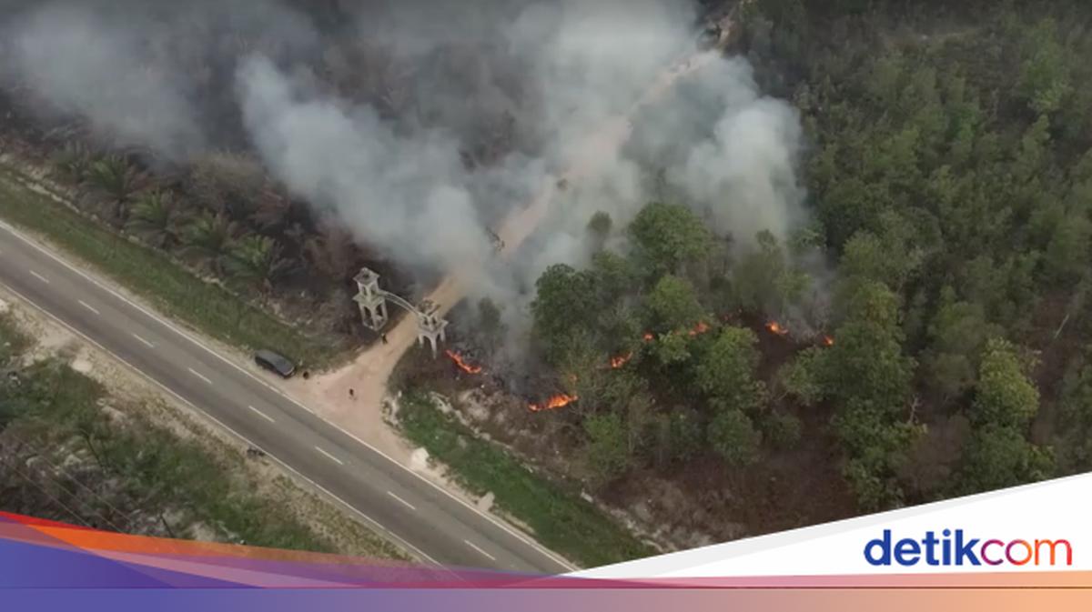 Indonesia Monitors 19,708 Wildfire Hotspots, With Central Kalimantan Worst Hit