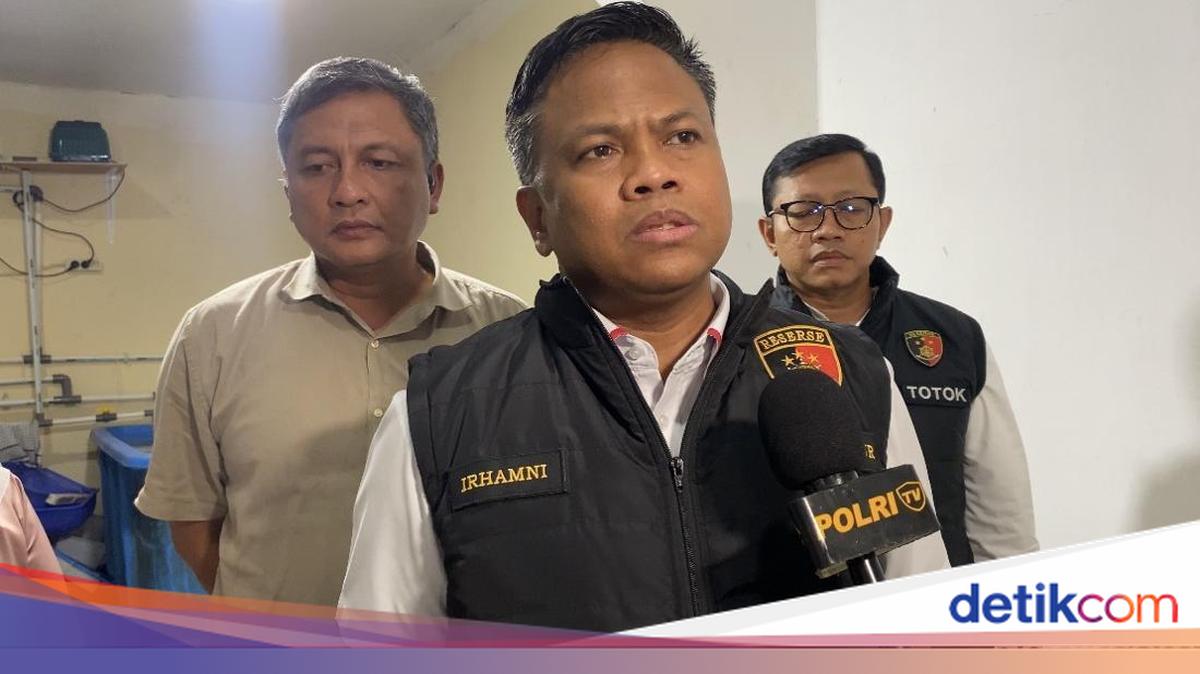 Penyelundup 73 Ribu Lobster ke Vietnam Sudah Beraksi 40 Kali