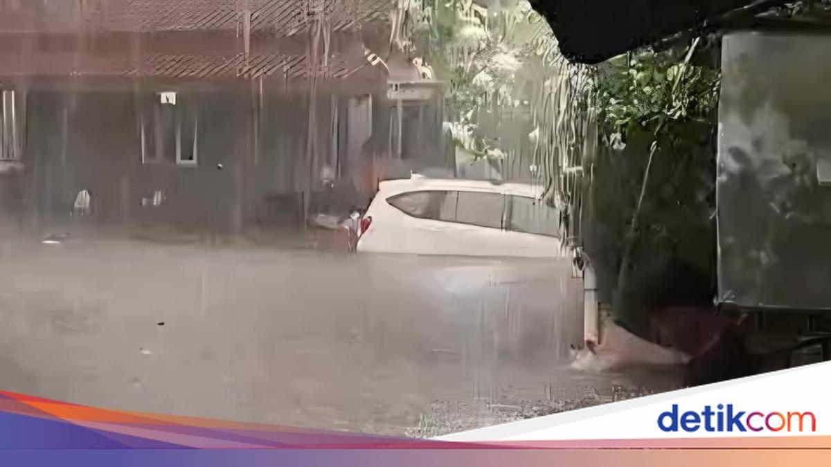 Hujan Disertai Angin Kencang Picu Banjir Lintasan dan Pohon Tumbang di Bogor