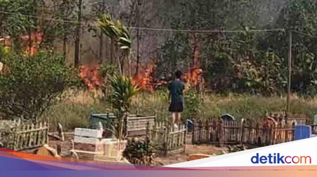 Karhutla di Kapuas Kalteng Meluas, Api Nyaris Merembet ke Pemakaman Warga