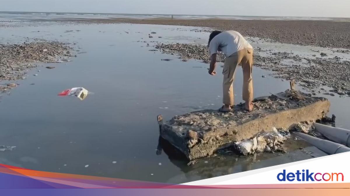 Limbah Tambak Udang Dibuang ke Laut Sumbawa, Pemprov NTB Ancam Sanksi Berat