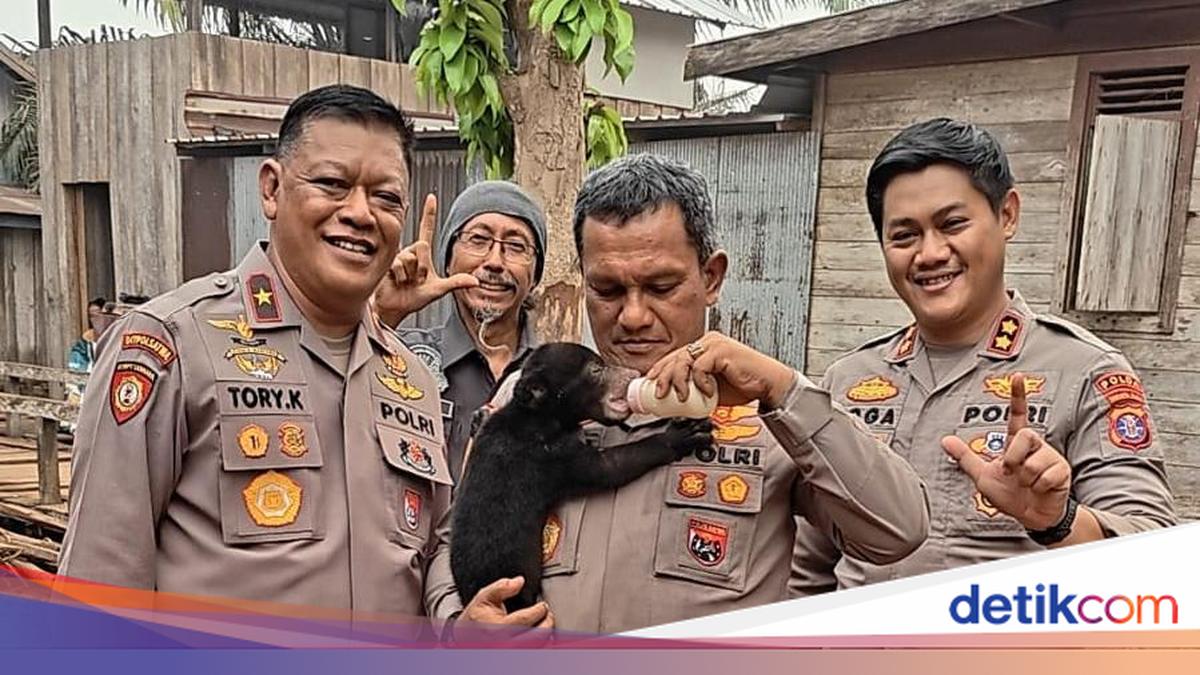 Polri Selamatkan Anak Beruang Madu dari Karhutla Kalteng