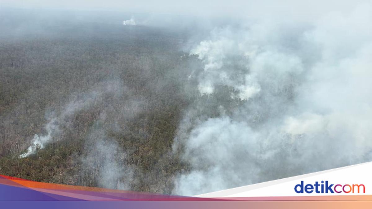 Helicopter and ground teams fight fire at Way Kambas park