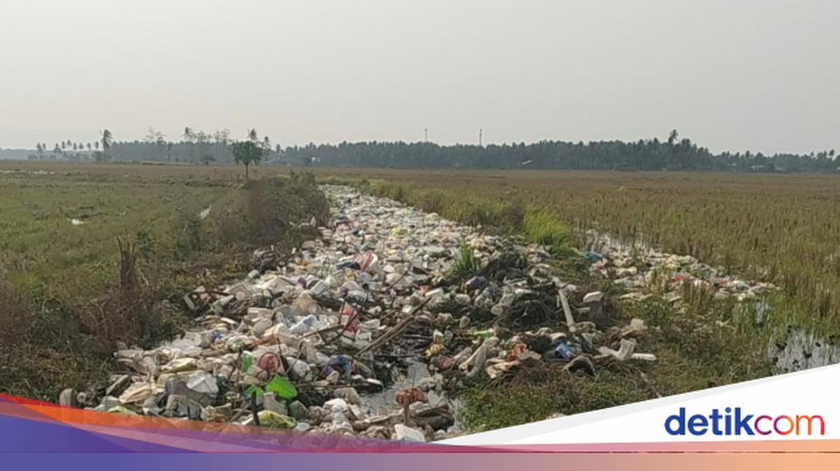 2 Ton Sampah Kiriman Banjiri Sawah Warga di Wonomulyo Polman