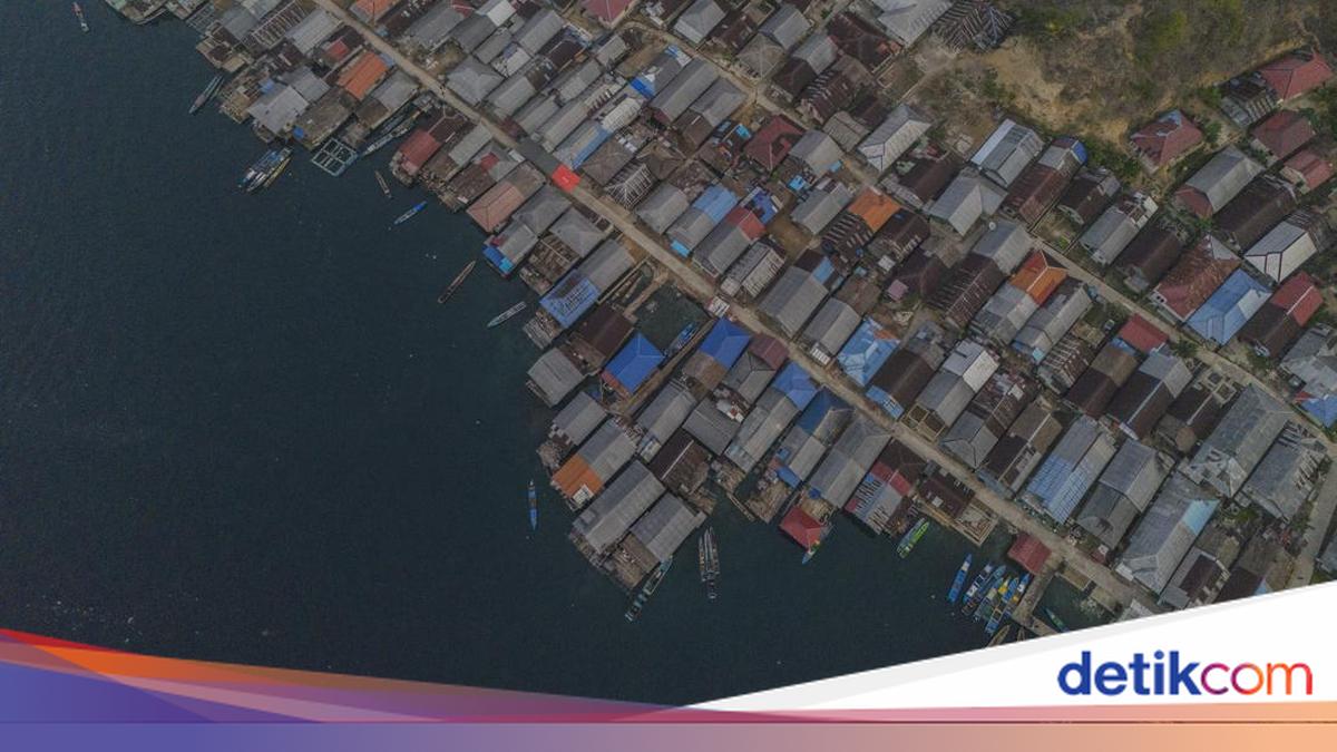Mengintip Kehidupan Suku Bajo, Nelayan Tangguh dari Halmahera Selatan