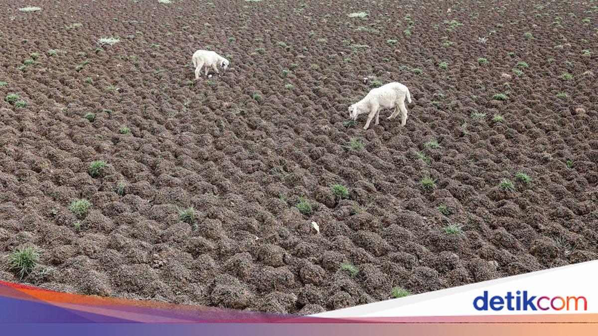 75 Persen Wilayah Indonesia Masih Kemarau, Warga Bekasi Andalkan Sumur ...