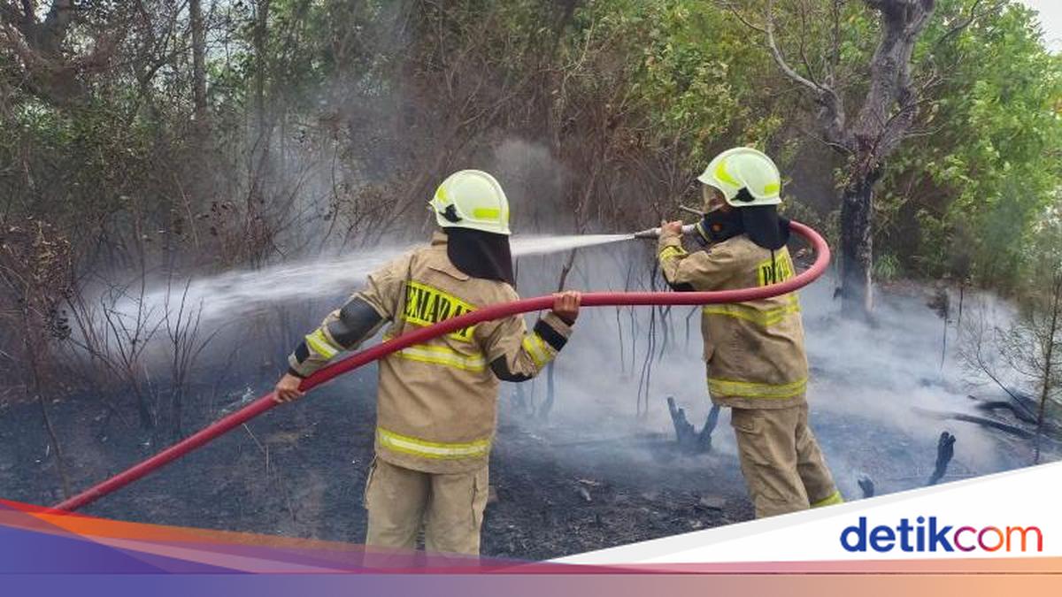 Lahan di Pulau Tidung Kepulauan Seribu Terbakar, Dipicu Puntung Rokok