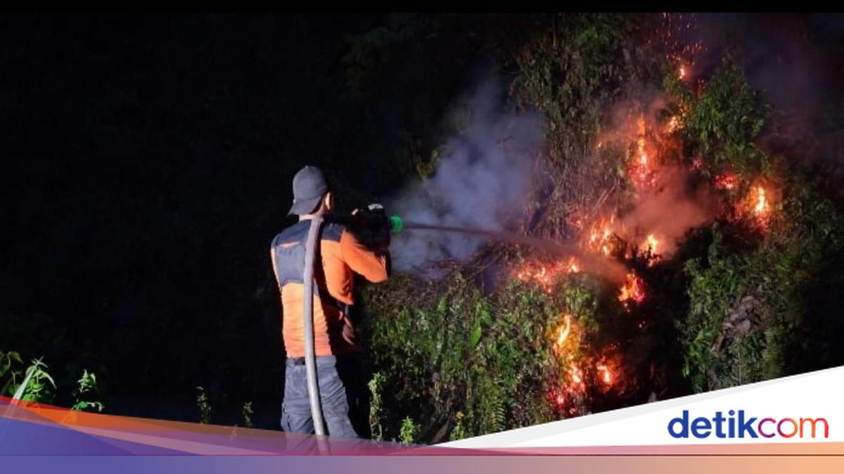 Fires Reappear in Kotawaringin Barat, Crews Work to Contain Them