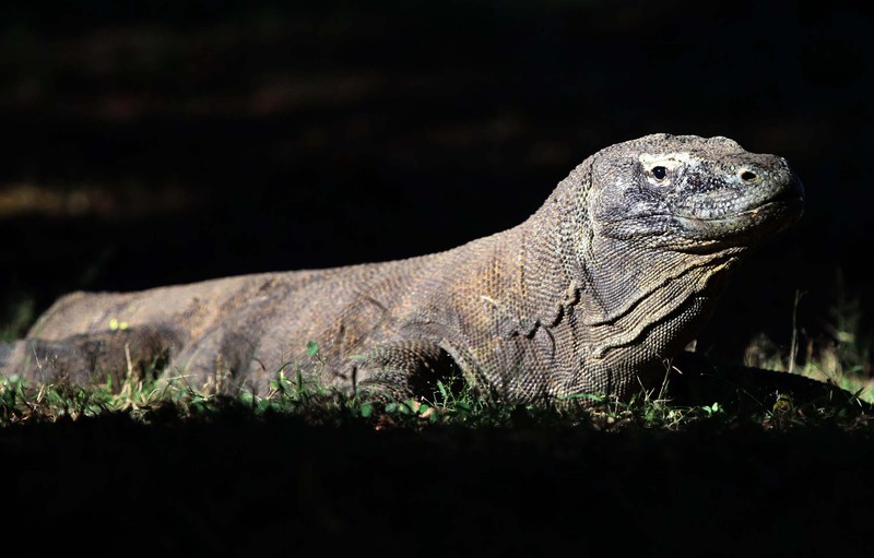 Wisatawan menikmati keindahan alam Taman Nasional Komodo dari atas bukit Gili laba, Labuan Bajo, Flores, Beberapa waktu lalu. Taman nasional komodo yang telah terpilih menjadi new 7 wonder selain menyajikan alam yang sangat indah juga memiliki hewan khas komodo yang mendiami Pulau rinca dan Pulau Komodo.