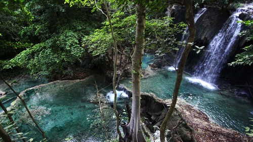 Pulau Moyo yang terletak di Kabupaten Sumbawa di Provinsi Nusa Tenggara Barat tidak hanya menawarkan keindahan wisata bahari. Pulau ini menawarkan keindahan surga di dalam hutan yang asri yaitu sebuah air terjun yang indah bernama Air Terjun Mata Jitu.