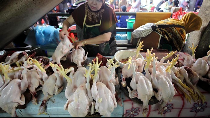 Para pedagang ayam potong di beberapa pasar tradisional di Jakarta menjerit akibat kenaikan harga yang tak terbendung lagi. Setelah kenaikan harga BBM yang tidak langsung berimbas pada ayam potong, di awal Ramadan, kini harga ayam menggila, hingga mencapai Rp 45.000 per-ekornya.