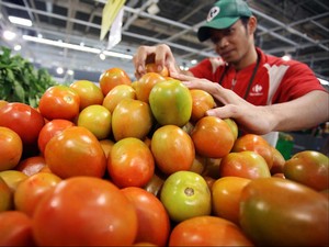 Peneliti Uji Coba Suplemen Tomat untuk Atasi Kemandulan Pria