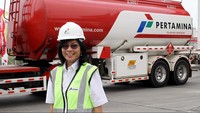 Dikutip dari situs resmi Pertamina, Rabu (4/4/2018), Karen merupakan lulusan Teknik Fisika Fakultas Teknik Industri, Institut Teknologi Bandung tahun 1983. Rachman Haryanto/detikcom.