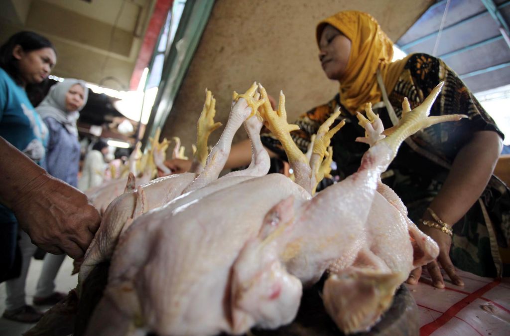 Para pedagang ayam potong di beberapa pasar tradisional di Jakarta menjerit akibat kenaikan harga yang tak terbendung lagi. Setelah kenaikan harga BBM yang tidak langsung berimbas pada ayam potong, di awal Ramadan, kini harga ayam menggila, hingga mencapai Rp 45.000 per-ekornya.