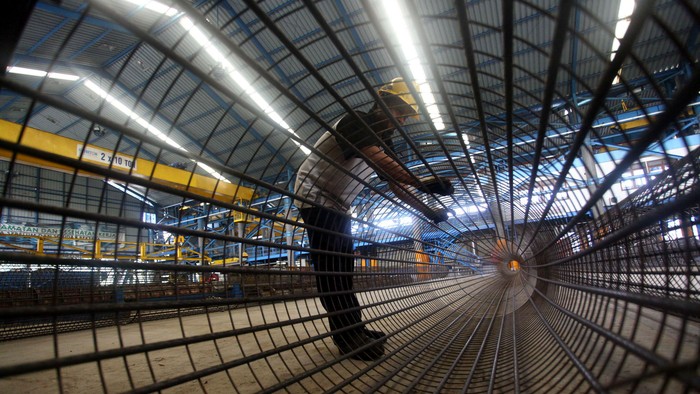 Wika Raup Laba Rp 631 Miliar, Tumbuh 5%