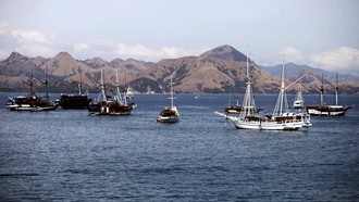 TN Komodo Ditutup buat Wisata-Warga Merana, Kemenhut Diminta buat Bantu