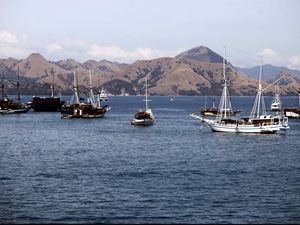 TN Komodo Ditutup buat Wisata-Warga Merana, Kemenhut Diminta buat Bantu