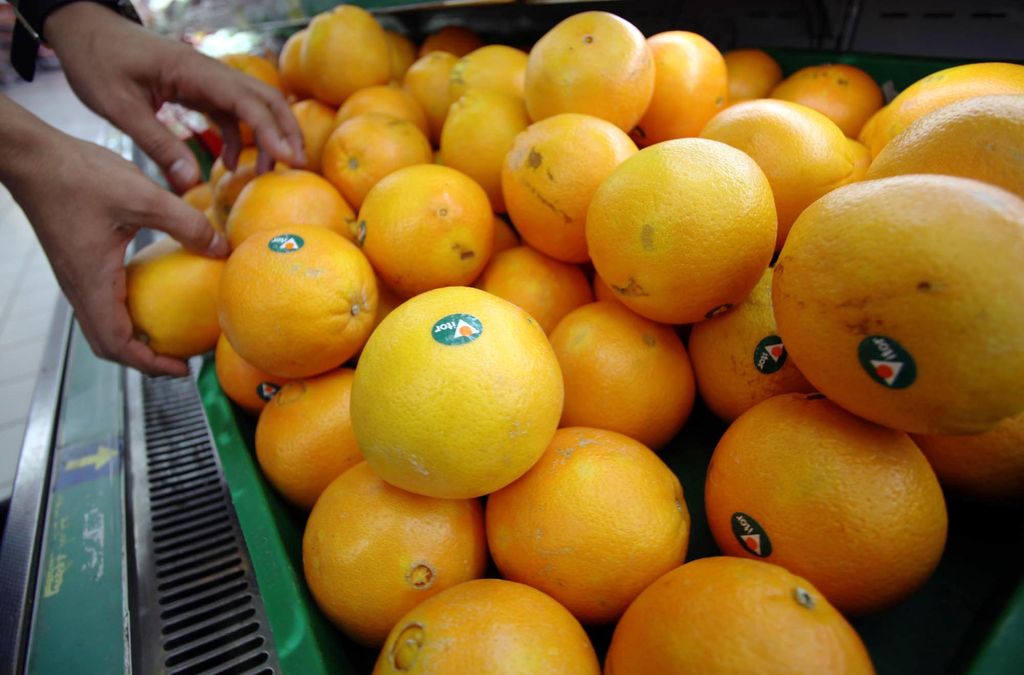 Kebijakan pemerintah Indonesia atas pengaturan buah impor untuk melindungi para petani lokal agak terganjal sedikit masalah. Salak Pondoh asal kota Jogjakarta yang harusnya tembus import ke China akhirnya ditolak pemerintah setempat.