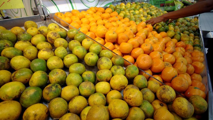 Kebijakan pemerintah Indonesia atas pengaturan buah impor untuk melindungi para petani lokal agak terganjal sedikit masalah. Salak Pondoh asal kota Jogjakarta yang harusnya tembus import ke China akhirnya ditolak pemerintah setempat.
