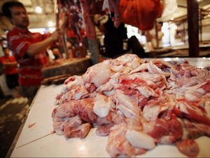 50.000 Ton Daging Sapi Brasil Masuk RI, Peternak: Kami Dirugikan!