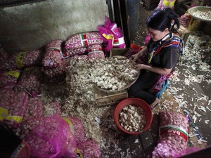 Harga Bawang Putih Impor China Naik Jadi Rp 36.900/Kg