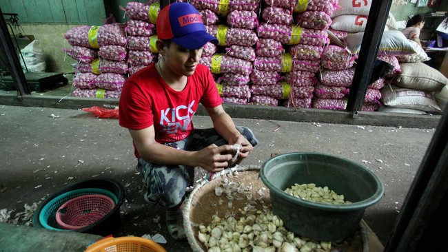 Bawang Putih Rp 45.000/Kg, Pemerintah Impor 100.000 Ton Bulan Depan