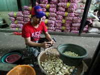 Bawang Putih Rp 45.000/Kg, Pemerintah Impor 100.000 Ton Bulan Depan