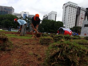 Bagus Mana, Rumput Gajah Mini atau Rumput Jepang? Ini Plus Minus dan Harganya