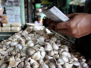 Lahan Terbatas, RI Baru Bisa Swasembada Bawang Putih 2033