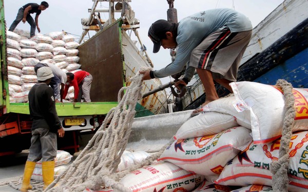 Apa Itu Distribusi Dan Contohnya