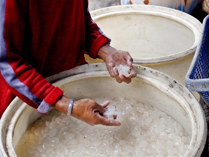 Meski Tak Bisa Sembuhkan Saraf Kejepit, Kolang-kaling Tetap Bergizi Lho