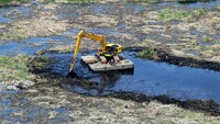 Untuk mengurangi pendangkalan, pengerukan waduk pun dilakukan agar mengembalikan fungsi utamanya sebagai resapan dan menampung air hujan atau banjir di Ibu Kota. Foto: Agung Pambudhy