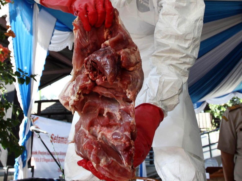 Satgas Pangan Awasi Ayam Tiren dan Daging Celeng di Jabar Satgas Pangan Awasi Ayam Tiren dan Daging Celeng di Jabar