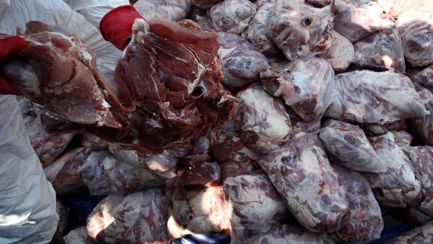 Begini Cara Bedakan Daging Celeng Dan Sapi