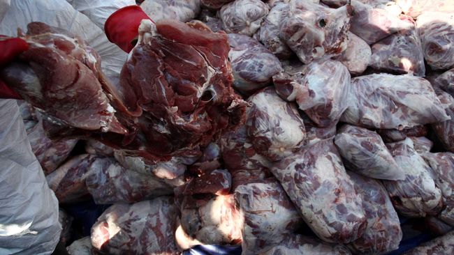 11 Ton Daging Celeng Selundupan Sumatera ke Jawa Dimusnahkan