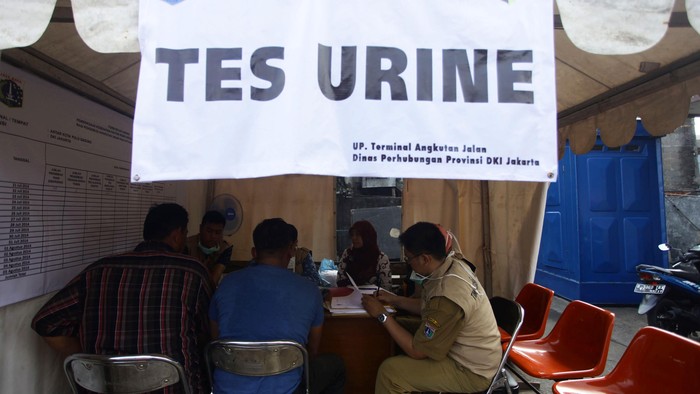 BNN Tes Urine Semua Sopir Bus, Nakhoda dan Pilot Jelang Musim Mudik