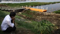 Waduk Pluit itu pun berubah imagenya menjadi suatu tempat yang menarik di utara Jakarta. Selain Letaknya di ujung kota, Waduk itu juga dilengkapi dengan taman yang cukup indah untuk dinikmati. File/dok. detikcom
