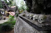 Pesona Tana Toraja: Alamnya Indah, Kebudayaannya Kaya