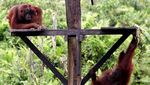 Foto: Aneka Tempat Wisata di Ibu Kota Baru Kutai Kartanegara
