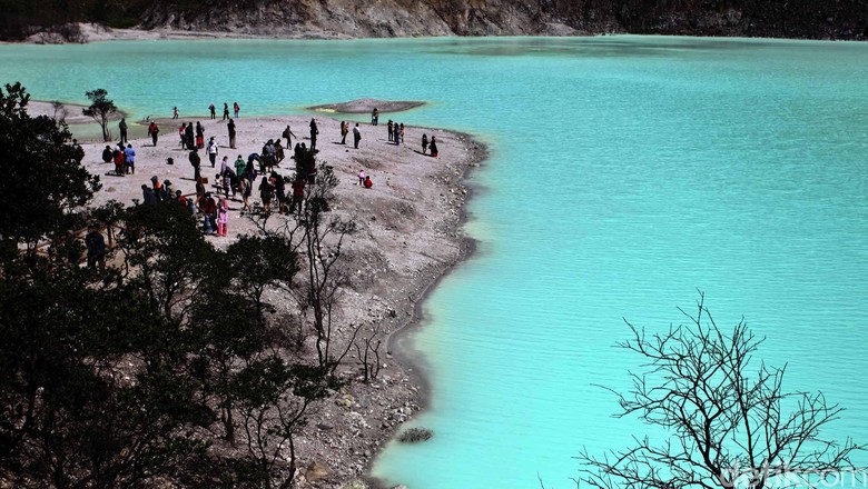 Pesona Keindahan Kawah Putih Suasana indah danau kawah putih di Ciwedey, Bandung, Jawa Barat, Minggu (3/6). Danau kawah dari Gunung Patuha dengan ketinggian 2.434 meter di atas permukaan laut dengan suhu antara 8-22C menjadi objek wisata andalan Bandung Selatan dengan pepohonan kering meninggalkan kesan tersendiri bagi para pengunjung. File/detikFoto.